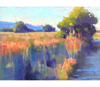 Deborah Henderson Pastel